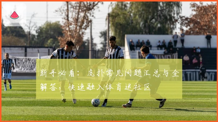 新手必看：虎扑常见问题汇总与全解答，快速融入体育迷社区