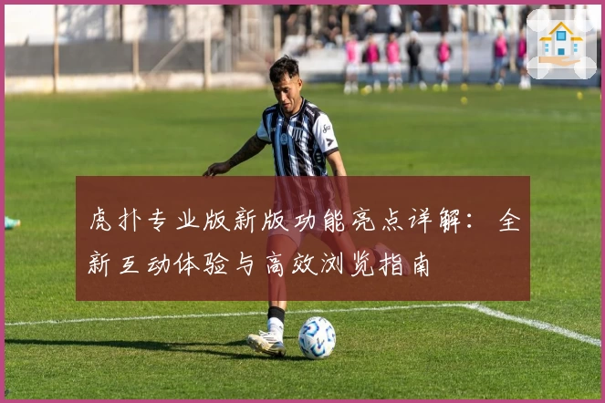 虎扑专业版新版功能亮点详解：全新互动体验与高效浏览指南